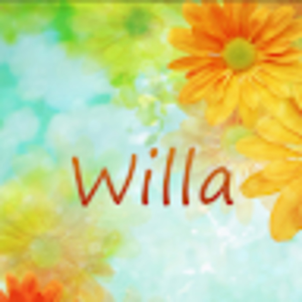 Meet your Posher, Willa